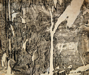 Impronte, 1959 (decollage on paper)