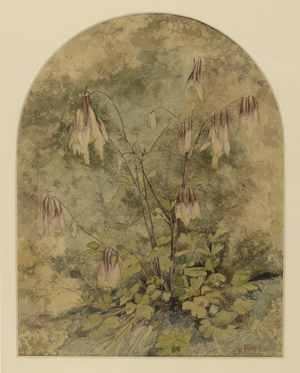 Wildflowers (w/c on paper)