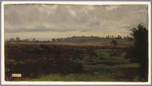 Marshlands, mid-1850s (oil on paper)