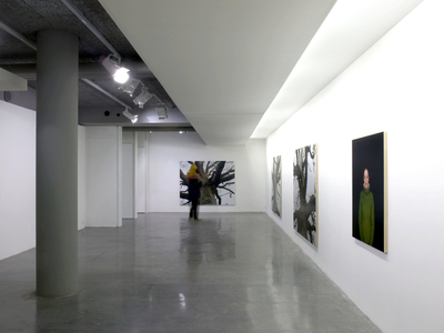 The Centre d'art contemporain, Le Plateau, FRAC Ile de France, 32 rue des Alouettes in Paris 75019. Architect Jean Marc Lalo, 2003. Photograph 2004.