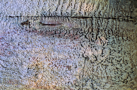 Lighted painting. Photography 1999