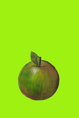 Apple, 2003 (oil sticks & pastels on paper)