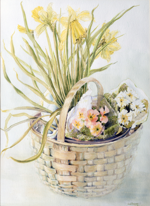 Daffodil Basket (w/c on paper)