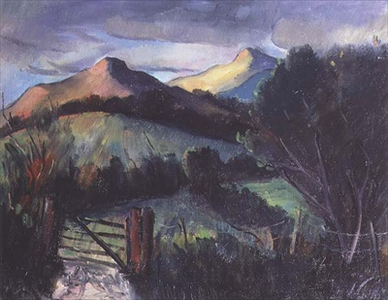 Landscape Nr. Largh, Co. Wicklow