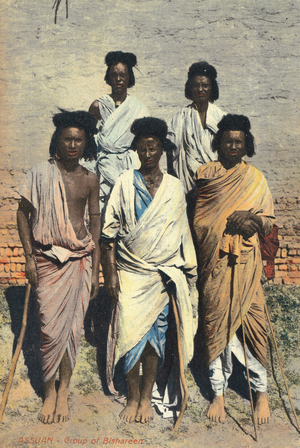 Aswan: Bicharyn Group. Postcard. sd. early 20th century.