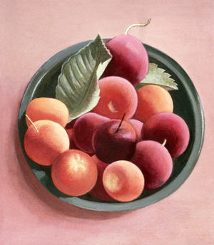 Bowl of Fruit (egg tempera on paper)