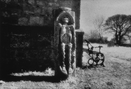 Cadaver, Beaulieu House, County Louth, Ireland (b/w photo)
