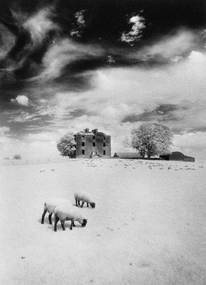 Rathpeak House, County Roscommon, Ireland (b/w photo)