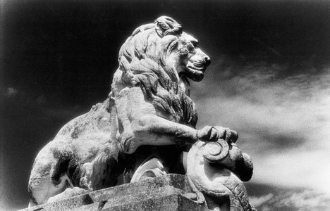 Statue of a lion, Arles city gates, Provence, France (b/w photo)