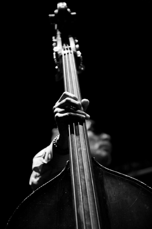 Ron Carter has double bass, Cite de la Musique, Paris. Photography festival jazz a la villette 2009