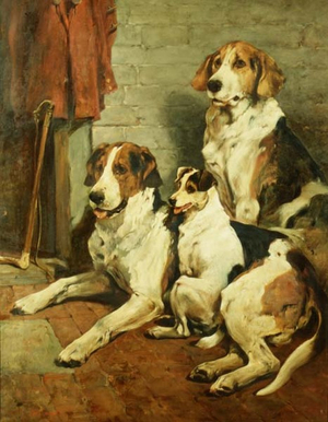 Foxhounds