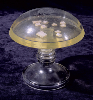 Sample of sodium prepared by Humphry Davy (1778-1829)