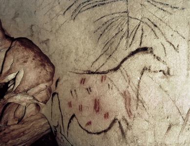 Prehistoric art, paleolithic superior, Pileta cave. Painting depicting a full mare. Benaojan Region, Spain 153-037304