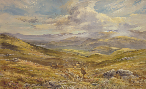 Cairngorms from Kinrara, 1988 (w/c)