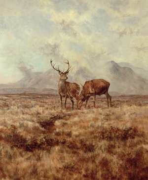 Red Stags, Ben Buie, 1982