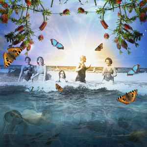 Skimming the Surface, 2009 (digital collage)