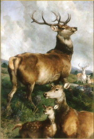 Deer of Chillingham Park, Northumberland, c.1867 (oil on canvas)