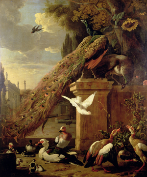 Peacocks and Ducks, c.1680 (oil on canvas)