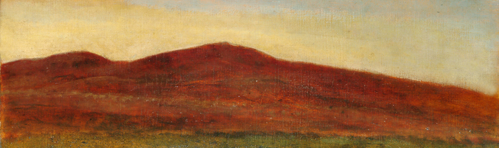 Study of Moorland, Invernesshire, 1889 (oil on canvas)