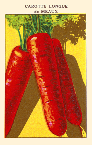 Carotte Longue de Meaux : Meaux Carrots