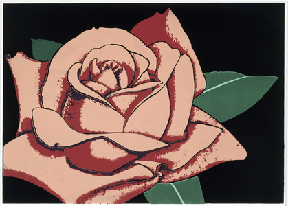 Rose numero 2. (Fragilite, epanouissement). illustration by Hisashi Takimoto (born in 1939, Japon).
