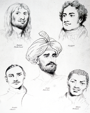 profiles of different racial types. Dated 19th Century