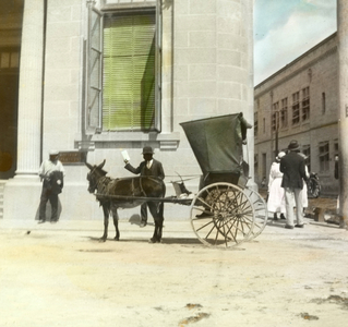 A buggy and mule, Barbados. circa 1910