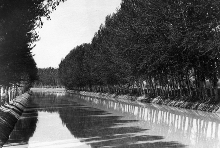 The Stalin Great Fergana Canal in Uzbekistan. May 1955.