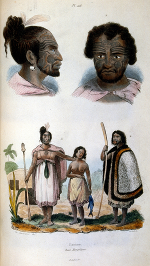 Anthropological illustration depicting the Maori Race