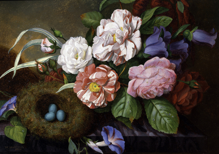 Nature morte de Camelias. Peinture de W. Hubbard (-1870) Collection privee.