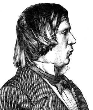 Robert Schumann, 1810 - 1856, composer, Portrait, historical illustration, 1880 (engraving)