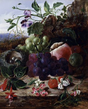 Nature morte de fruit, fuschia et nid d'oiseaux. Peinture de George Clare (1835-1899) Collection privee.