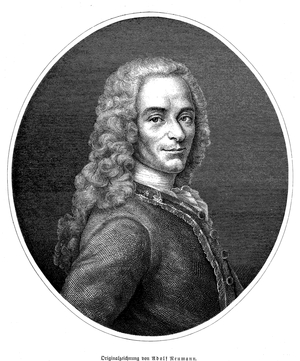 Voltaire, actually Francois Marie Arouet, 1694-1778, author of French and European Enlightenment, historical engraving, circa 1870