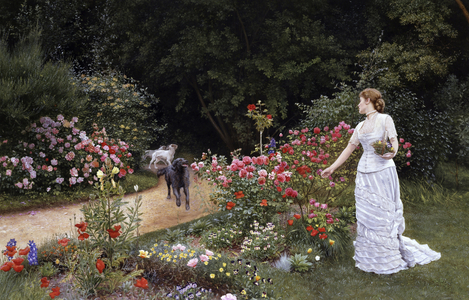 The Arrival 1878. Une femme elegante portant une robe blanche cueille des fleurs (roses) dans un jardin. Pres d'elle arrive (arrivee) les chiens signalant l'arrivee d'une personne. Peinture de Edward Killingworth Johnson (1825-1896 British). Preraphaelisme (art preraphaelite). Collection privee