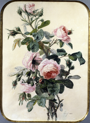 Les Roses. Peinture de Jean Pierre Lays (1825-1887) Collection privee.
