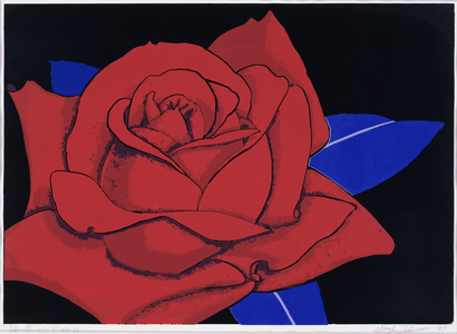 Rose numero 1. illustration by Hisashi Takimoto (born in 1939, Japon).