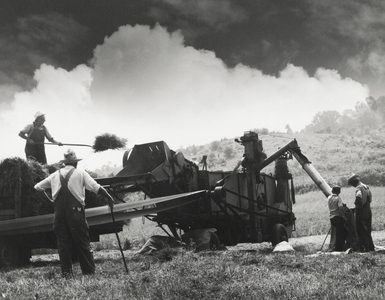 Farmers threshing wheat in a field, Virginia, USA, 1975