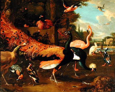 Ornamental Fowl (oil on canvas)