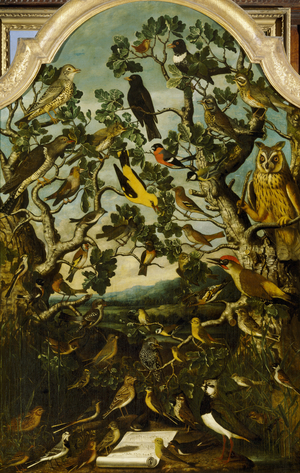 The Birds of Britain