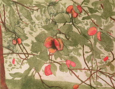 Plums (print)