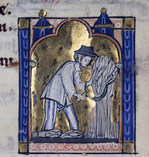 Agricultural work: harvest. Miniature depicting the month of July from a psalter, Biblioteca estense de Modene, Italy