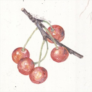 Red Cherries, 1988 (w/c)