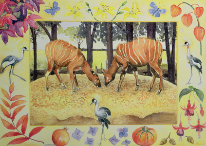 Bongo (month of October from a calendar)