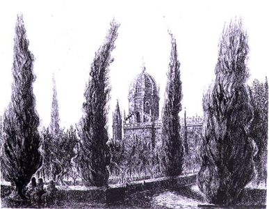 Cypress Trees at Belem (etching)