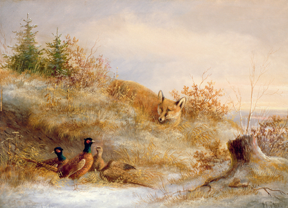 Fox and Pheasants in Winter (oil)