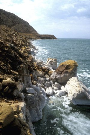 Salt encrusted coastline of the Dead Sea (photo)