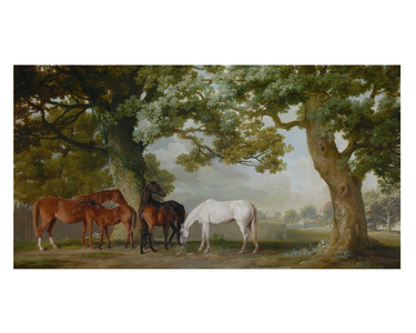 Mares and Foals Beneath Large Oak Trees, c.1764-68 (oil on canvas)