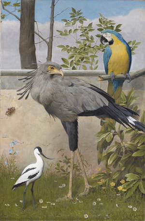 Secretary bird, blue and orange macaw and an avocet (oil on canvas)