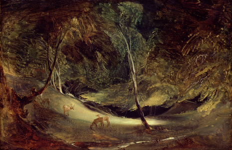 Study from Nature: The Source of the Manifold, Ilam Park (oil on paper laid on canvas)