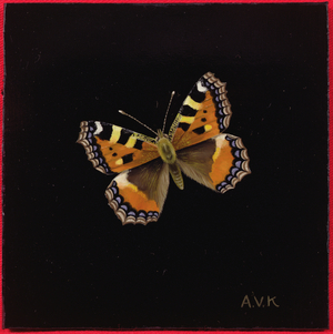 Small tortoiseshell butterfly, 1998 (oil on board)